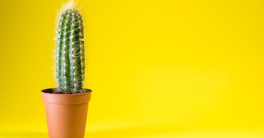 After enlargement surgery, you may experience discomfort in your penis