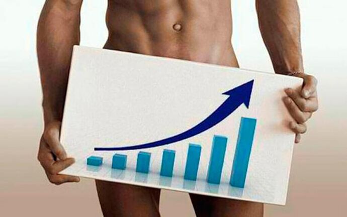 increased thickness of the penis